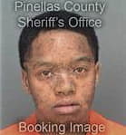 Michelle Smith - Pinellas County, FL 
