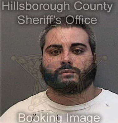 Carlos Vazquezvilches, - Hillsborough County, FL 