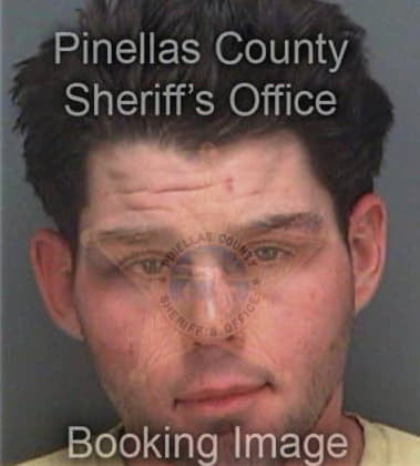 Robert Deonarine, - Pinellas County, FL 