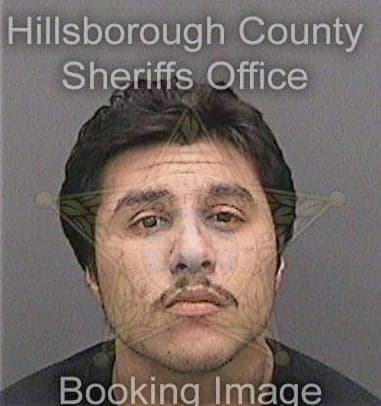 Nezar Mreisy, - Hillsborough County, FL 