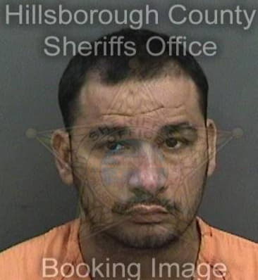 Luis Perez, - Hillsborough County, FL 