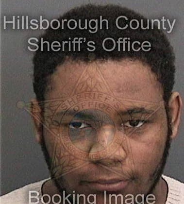 Damond Alford, - Hillsborough County, FL 