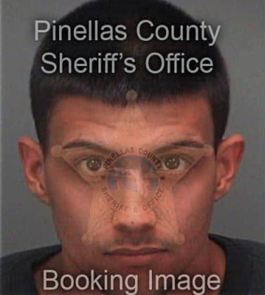 John Balan, - Pinellas County, FL 