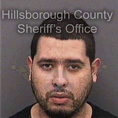 Carl Boswell - Hillsborough County, FL 