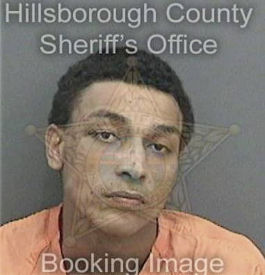 Bryan McClellan - Hillsborough County, FL 