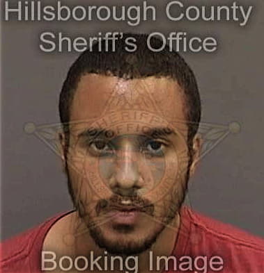 Luis Moralesadorno, - Hillsborough County, FL 