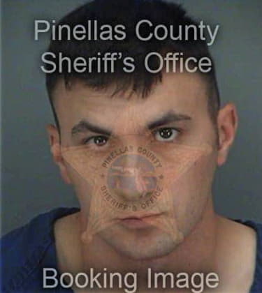 Robert Waltman, - Pinellas County, FL 