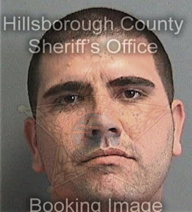 Domenic Panaccio, - Hillsborough County, FL 