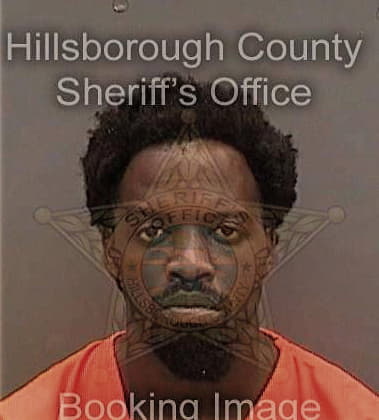 Reginald Pierre-Perry, - Hillsborough County, FL 