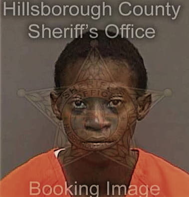 Alleshia Riley, - Hillsborough County, FL 