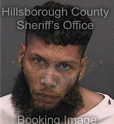 Santos Velasquez, - Hillsborough County, FL 