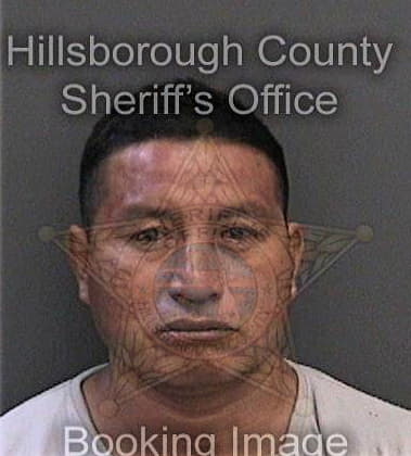 Milton Diazcedano, - Hillsborough County, FL 