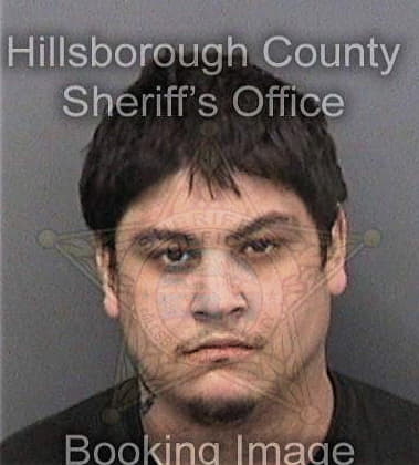 Robert Gross, - Hillsborough County, FL 