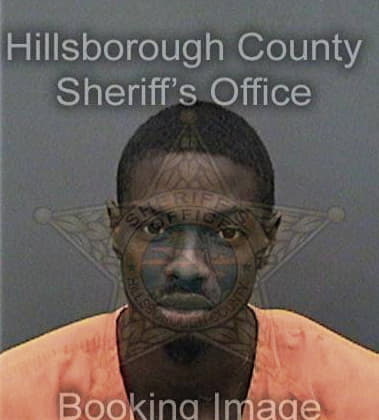 David Meadows - Hillsborough County, FL 