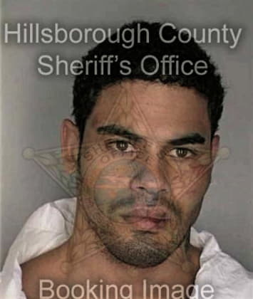 Juan Ramirez, - Hillsborough County, FL 