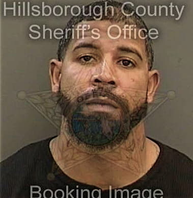 Anton Mitchell - Hillsborough County, FL 
