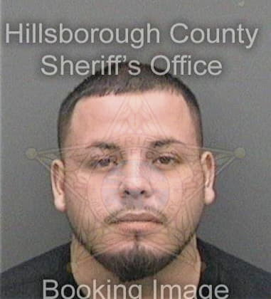 Michael Mobley, - Hillsborough County, FL 