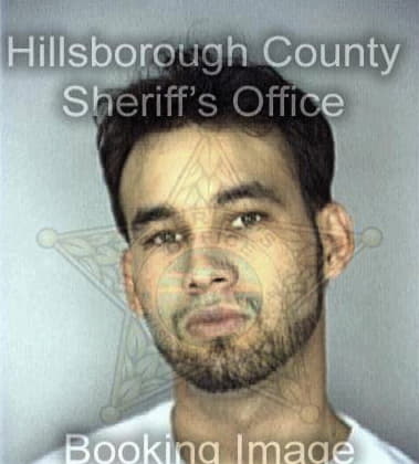 Alejandro Morenolopez, - Hillsborough County, FL 