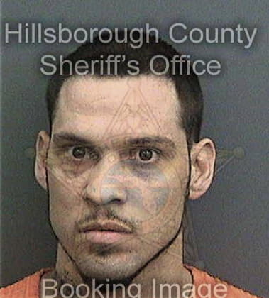 Aaron Reece, - Hillsborough County, FL 