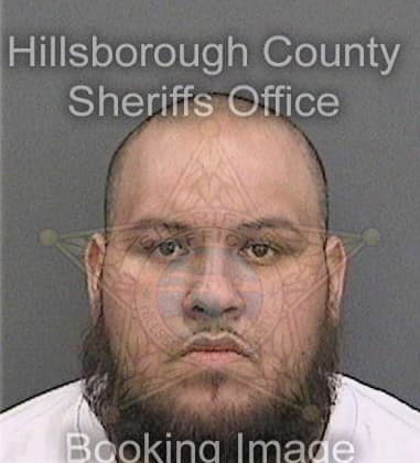 David Rosario, - Hillsborough County, FL 