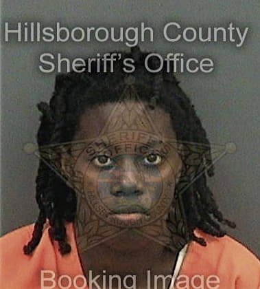 Brittany Turner, - Hillsborough County, FL 