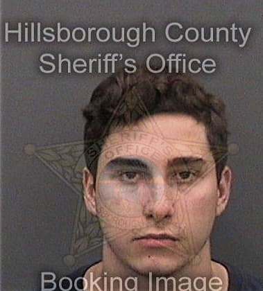 Sergio Alvarez-Gonzalez, - Hillsborough County, FL 