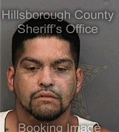 William Garciarivera, - Hillsborough County, FL 