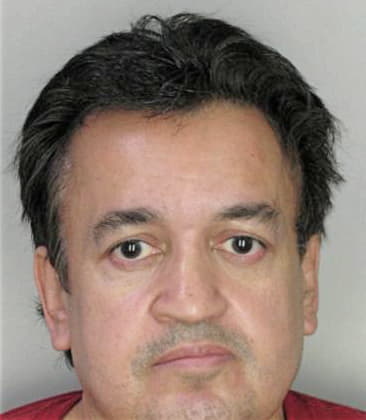 Armando Lopezaleman, - Hillsborough County, FL 