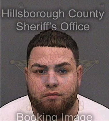 Hector Luna, - Hillsborough County, FL 