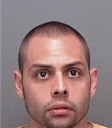 Gregory Petryk, - Pinellas County, FL 