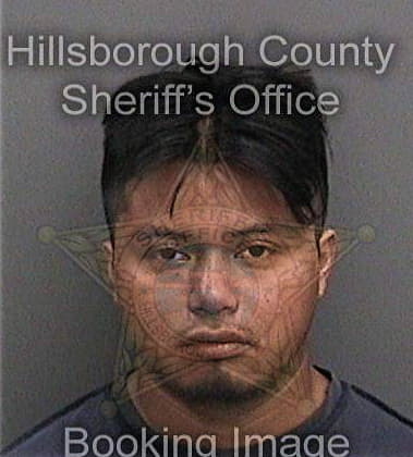 Ian Ruiz, - Hillsborough County, FL 