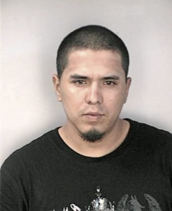 Angel Ruizcaraballo, - Hillsborough County, FL 