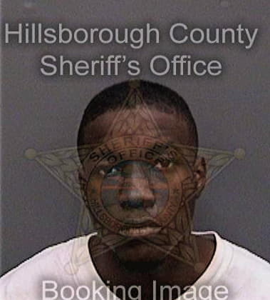 Moises Sanchezrodriguez, - Hillsborough County, FL 