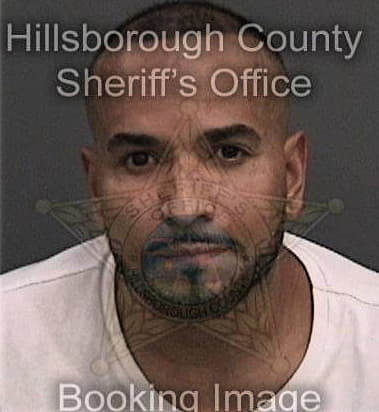 Gian Torres, - Hillsborough County, FL 