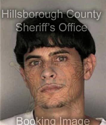 Travis Vierra, - Hillsborough County, FL 