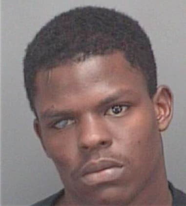 Rasool Bashir, - Pinellas County, FL 