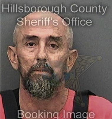 Antonio Castanedasantizo, - Hillsborough County, FL 