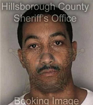 Brian Childress - Hillsborough County, FL 
