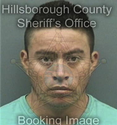 Michael Cortes, - Hillsborough County, FL 