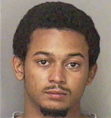 Lorenzo Mitchell, - Polk County, FL 