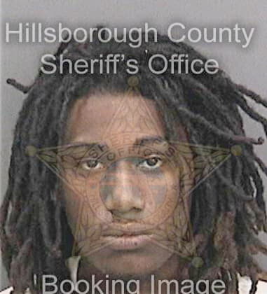 Michael Peterson, - Hillsborough County, FL 