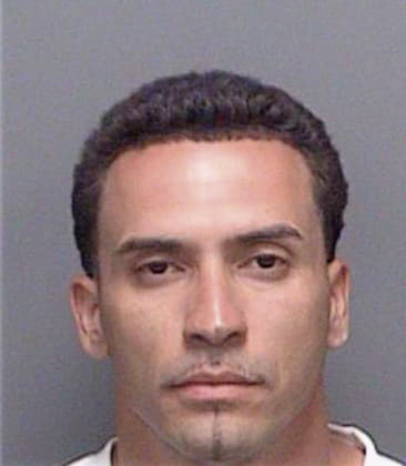 Manuel Saldana, - Pinellas County, FL 