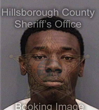 Cornelius Lassin, - Hillsborough County, FL 