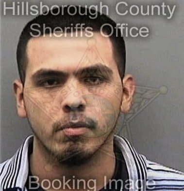 Anthony Martelli, - Hillsborough County, FL 