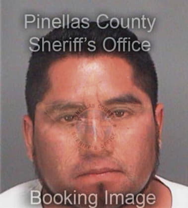 Jose Poincianogonzalez, - Pinellas County, FL 