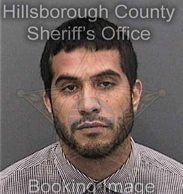 Steve Vlado, - Hillsborough County, FL 