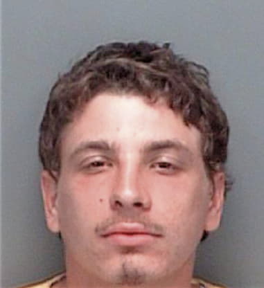 Nicholas Horvath, - Pinellas County, FL 