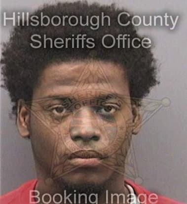 Terrel Stone, - Hillsborough County, FL 