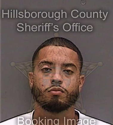 Israel Agosto, - Hillsborough County, FL 