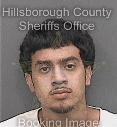 Nicholas Eldridge, - Hillsborough County, FL 